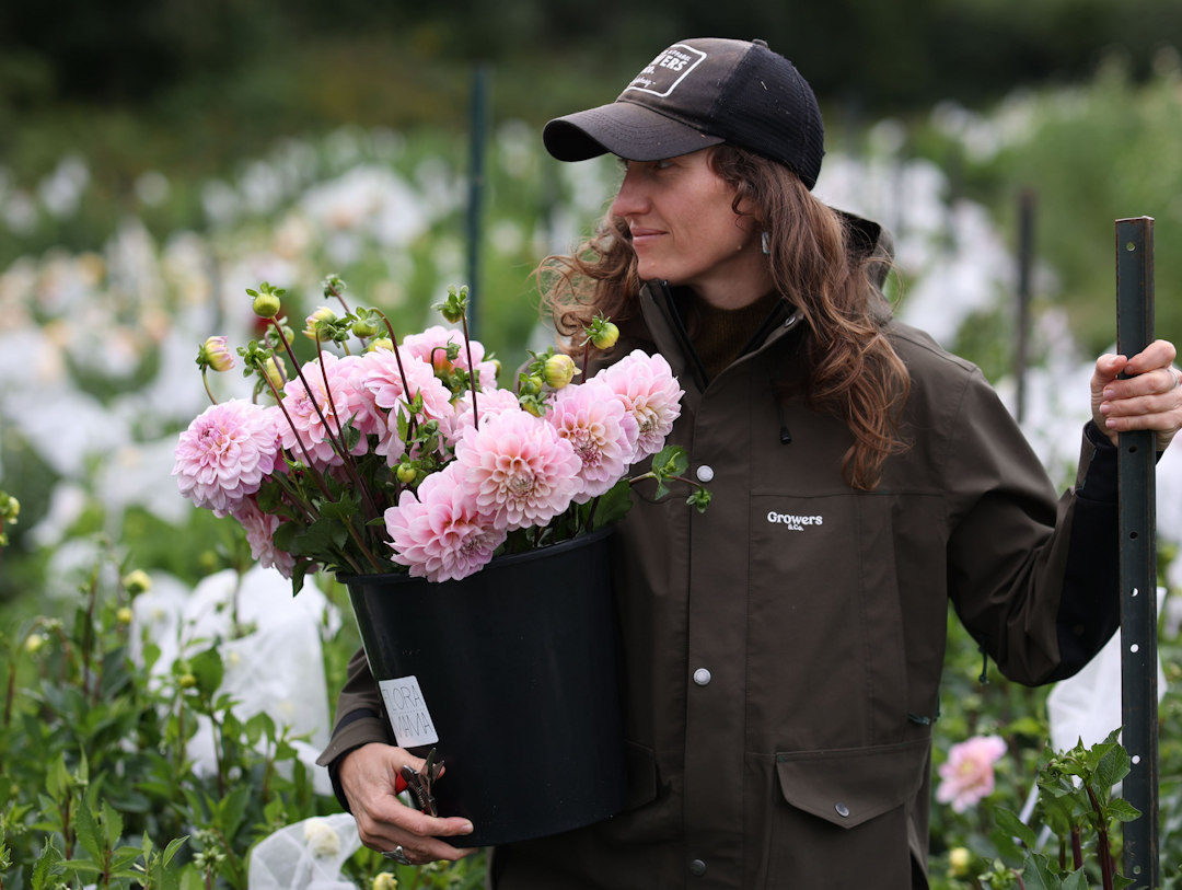 From Garden to Bouquet: The Story of Floramama's Farmed Flowers