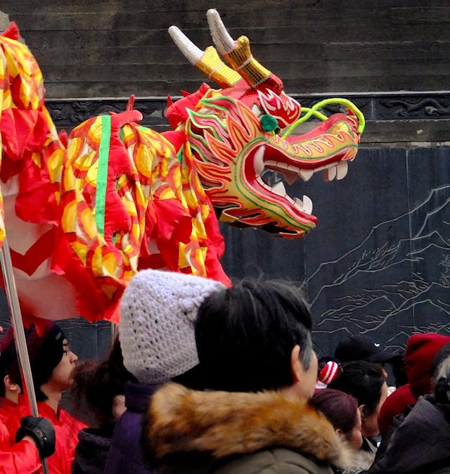 The Bulletin: Montreal's Year of the Dragon 🐉 [Issue #63]